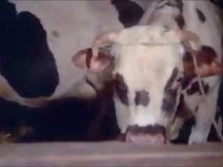 Celestine 1974: gratuit orgie sexe film vidéo 90